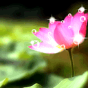 0094.gif