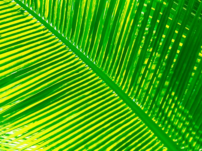 Maldives_Travel_03001.jpg