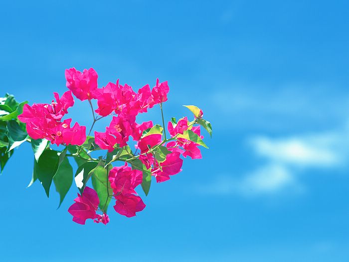 Maldives_Travel_03003.jpg