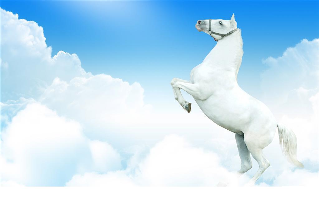 sy_20110107085212758018.jpg